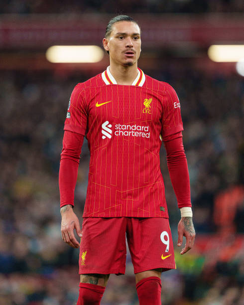 托的表现 托的表现